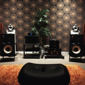 Soundary Hi-Fi Floor Speakers